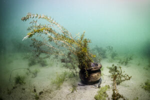 Underwater Sevan