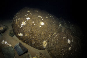 Stromatolites - Underwater Sevan